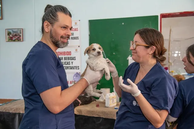 por que estudiar veterinaria chile